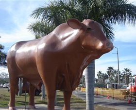 Rockhampton Bull Statues - Accommodation Port Macquarie 3