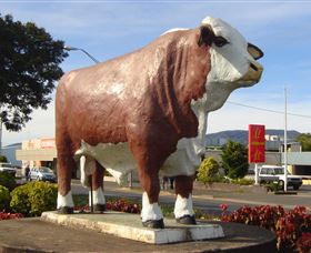 Rockhampton Bull Statues - Accommodation Port Macquarie 2