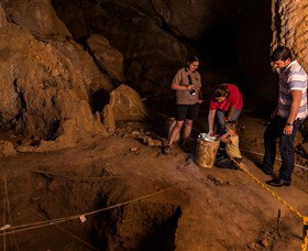 Capricorn Caves - Accommodation Port Macquarie 2