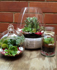 Blooms On Bridge - Accommodation Port Macquarie 6