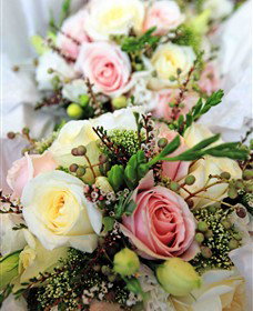 Blooms On Bridge - Accommodation Port Macquarie 7