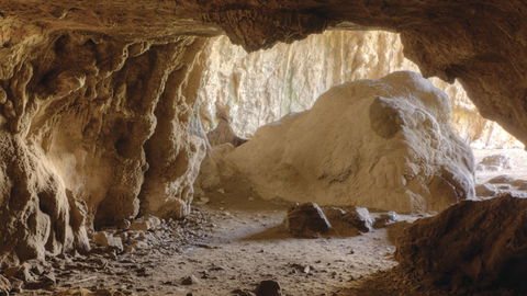 Borenore Karst Conservation Reserve - Accommodation Port Macquarie 1