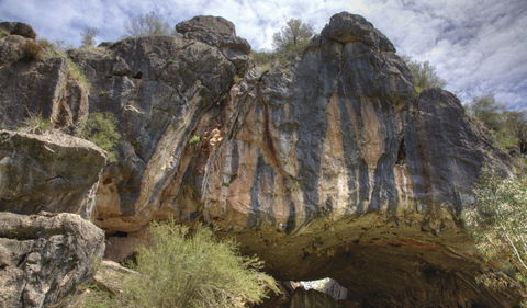 Borenore Karst Conservation Reserve - Accommodation Port Macquarie 0