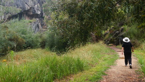 Borenore Karst Conservation Reserve - Accommodation Port Macquarie 3