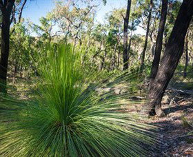 Brisbane Ranges National Park - Accommodation Port Macquarie 0