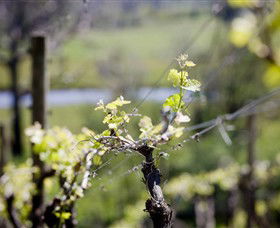 Lethbridge Wines - Accommodation Port Macquarie 0