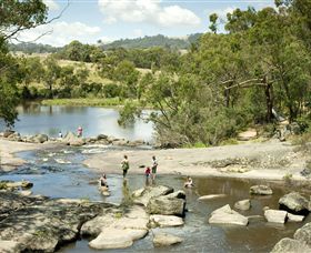 Polly McQuinns - Accommodation Port Macquarie 0