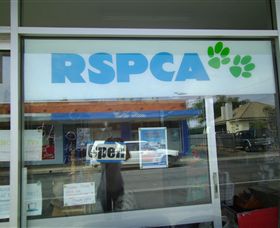 R.S.P.C.A Opportunity Shop - Accommodation Port Macquarie 0