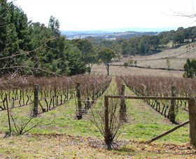 Habitat Vineyard - Accommodation Port Macquarie 0