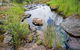 Hopetoun Falls Walking Track - thumb 1