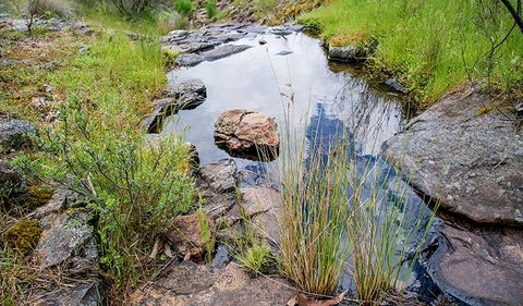Hopetoun Falls Walking Track - Accommodation Port Macquarie 1