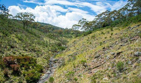 Hopetoun Falls Walking Track - Accommodation Port Macquarie 3