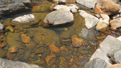 Mount Canobolas State Conservation Area - Accommodation Port Macquarie 2