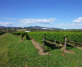 Hedberg Hill Wines - Accommodation Port Macquarie 0