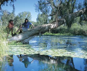 Millstream Chichester National Park - Accommodation Port Macquarie 1
