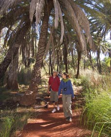 Millstream Chichester National Park - Accommodation Port Macquarie 2