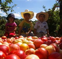 Bonny Glen Fruits - Accommodation Port Macquarie