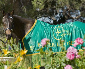 Living Legends: The International Home Of Rest For Champion Horses - Accommodation Port Macquarie 0