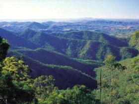 Kroombit Tops National Park - Accommodation Port Macquarie 0