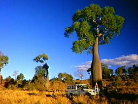 Kroombit Tops National Park - Accommodation Port Macquarie 1