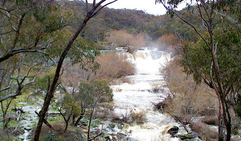 Mullion Range State Conservation Area - Accommodation Port Macquarie 0