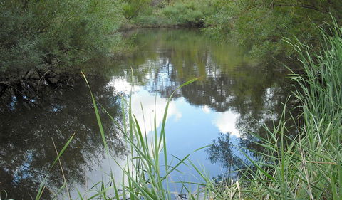 Mullion Range State Conservation Area - Accommodation Port Macquarie 2