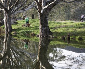 Albury - Murray River Precinct - Accommodation Port Macquarie 3