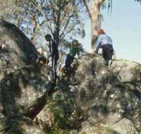 Mount Samaria State Park - Accommodation Port Macquarie