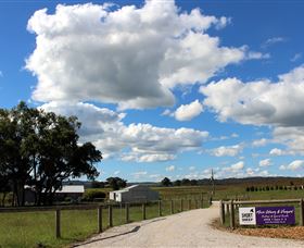 Short Sheep Micro-Winery - Accommodation Port Macquarie 8
