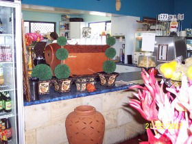 Warwicks Gardens Galore - Accommodation Port Macquarie 2