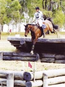 Morgan Park, Warwick - Accommodation Port Macquarie 1