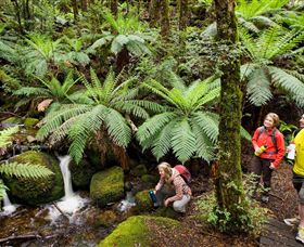  Accommodation Port Macquarie