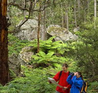 Centennial Glen - Accommodation Port Macquarie
