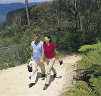 Blue Mountains Walking Tracks - Accommodation Port Macquarie