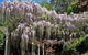 Nooroo Gardens - thumb 0