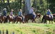 Springvale Horse Treks - thumb 1