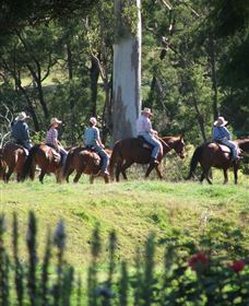 Springvale Horse Treks - Accommodation Port Macquarie 1
