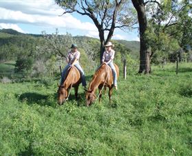 Springvale Horse Treks - Accommodation Port Macquarie 3