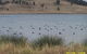 Lake Liddell Recreation Area - thumb 0
