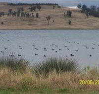Lake Liddell Recreation Area - Accommodation Port Macquarie