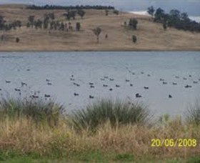 Lake Liddell Recreation Area - Accommodation Port Macquarie 0