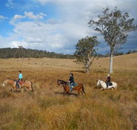 Chapman Valley Horse Riding - Accommodation Port Macquarie