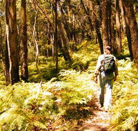 Federal Pass - Accommodation Port Macquarie