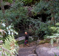 Leura Cascades Fern Bower - Accommodation Port Macquarie