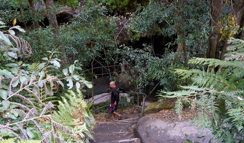 Leura Cascades Fern Bower - Accommodation Port Macquarie 0