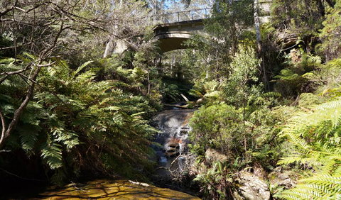 Leura Cascades Fern Bower - Accommodation Port Macquarie 3
