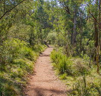 Mares Forest Creek walking track - Accommodation Port Macquarie