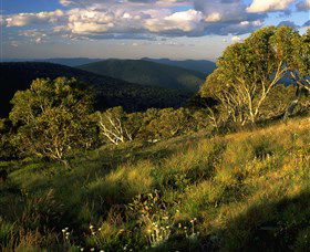Namadgi National Park And Visitors Centre - Accommodation Port Macquarie 2