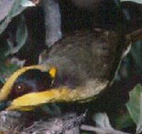 Tyers Park - Accommodation Port Macquarie