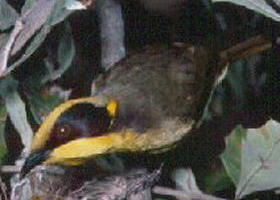 Tyers Park - Accommodation Port Macquarie 0